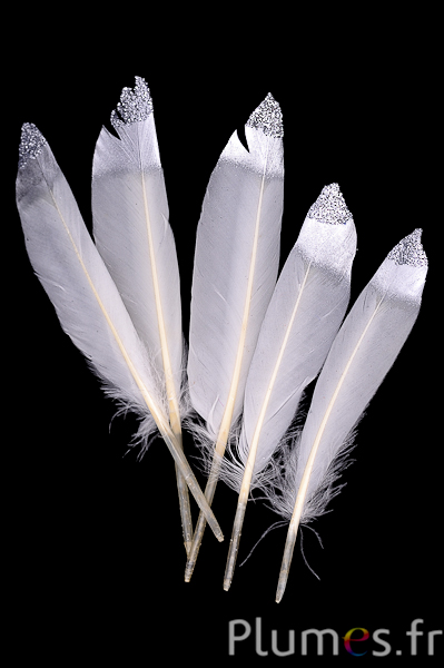 Oie Lame pointe et paillettes argentées - 12-17 cm - blanc-crème